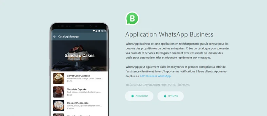 Whatsapp Business