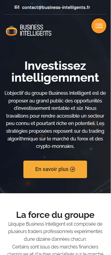Responsive du site web Business intelligent
