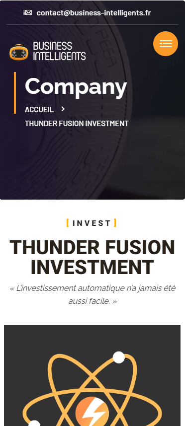 Responsive du site web Business intelligent