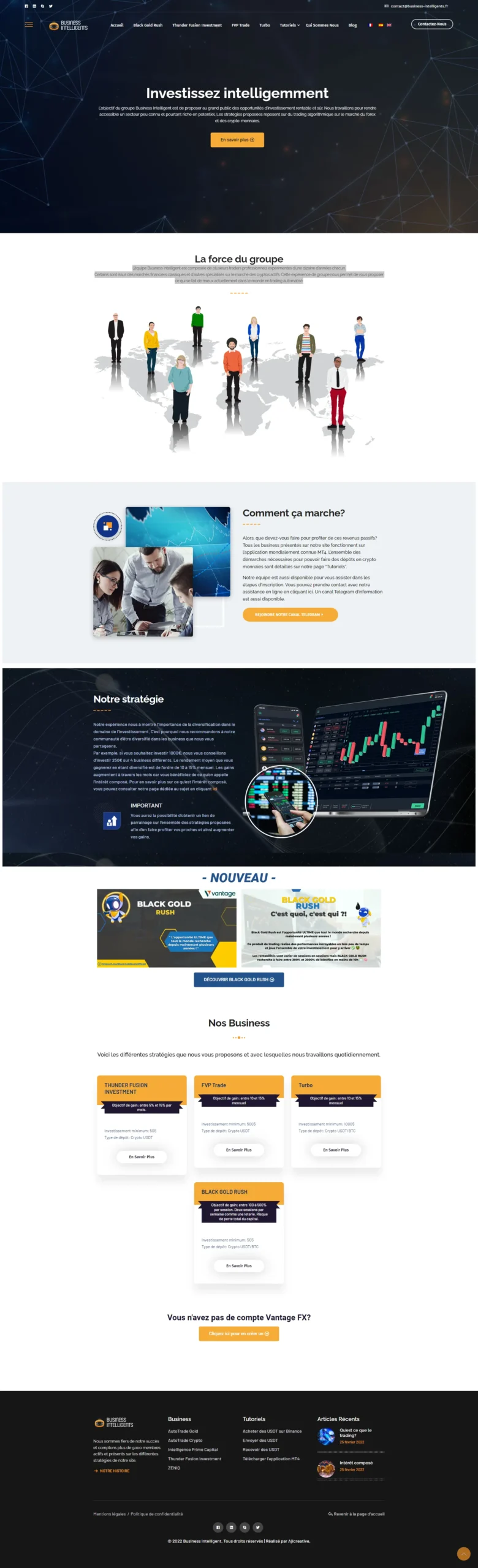 Responsive du site web Business intelligent