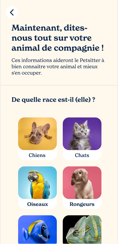 Application Petday