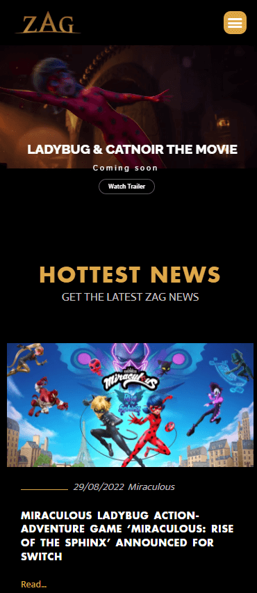 Responsive du site web de Zag